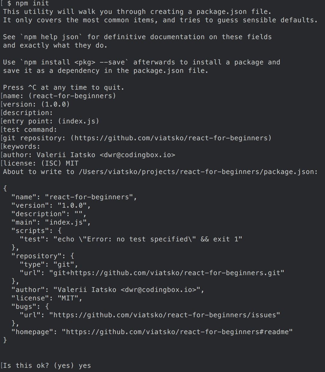 npm init