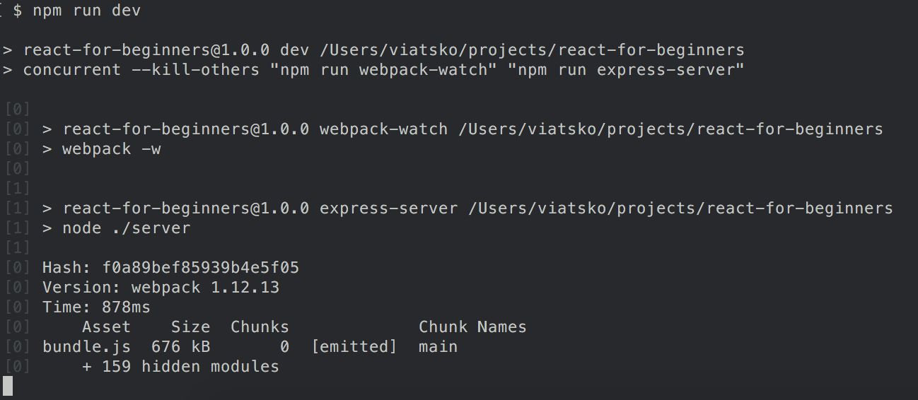 npm run dev